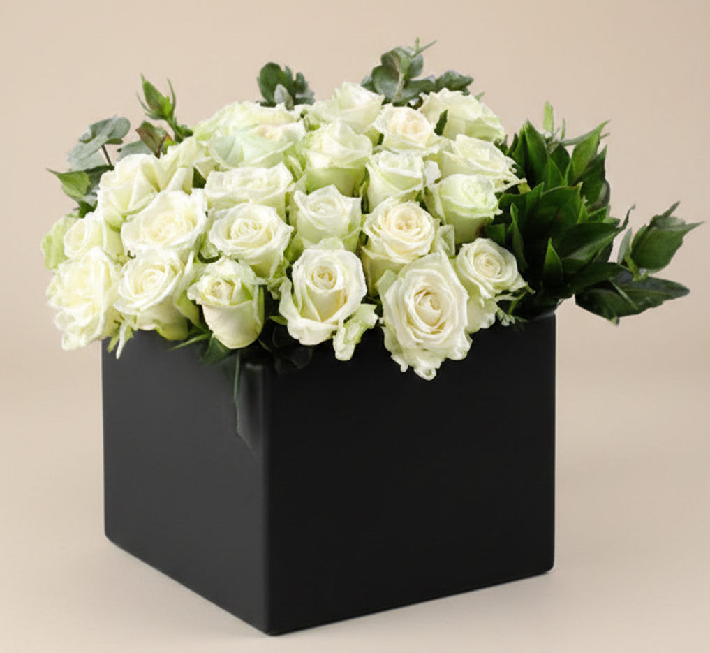 The "Pure Style" Box