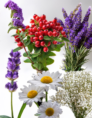 Bouquet fillers