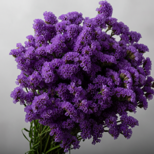 Bouquet fillers - Statice