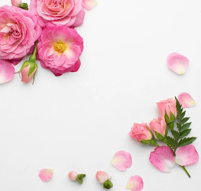 Image Slider